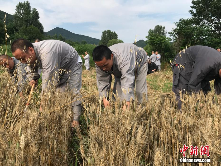 激情双龙片限级Gay片