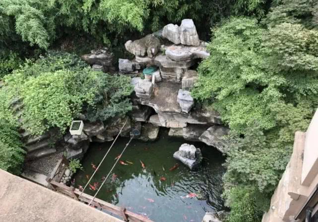 女生隐私网站