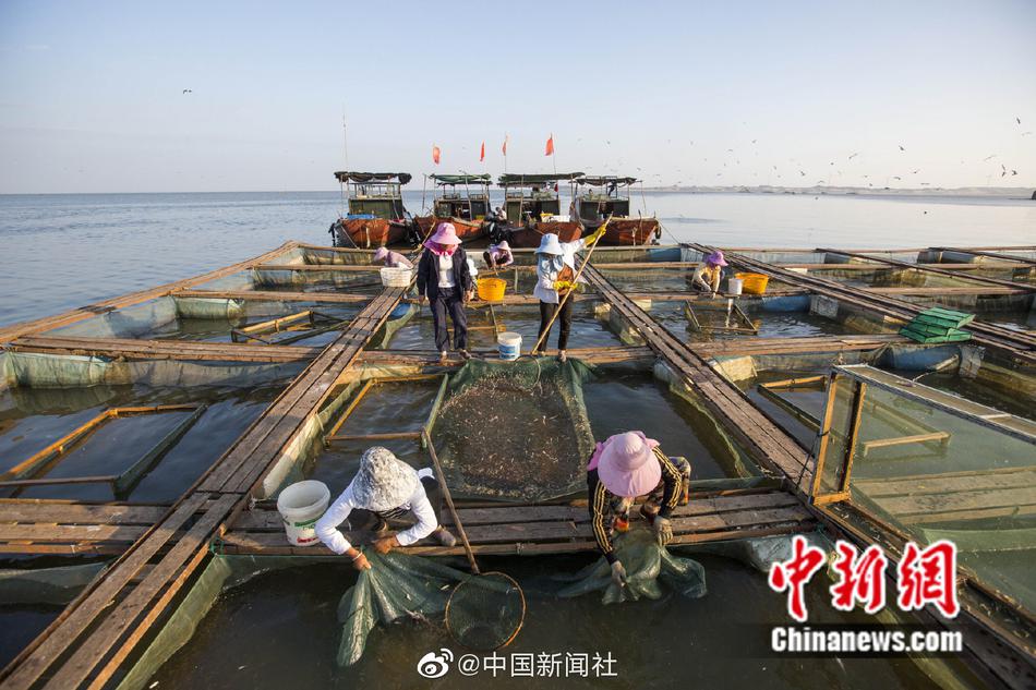 毛片毛片