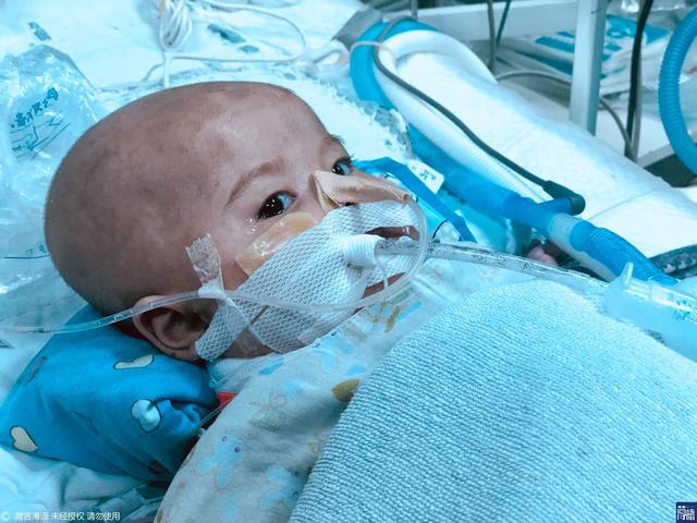 巔峰娛樂：探索網上賭場的極致魅力，開啟您的不夜城傳奇 