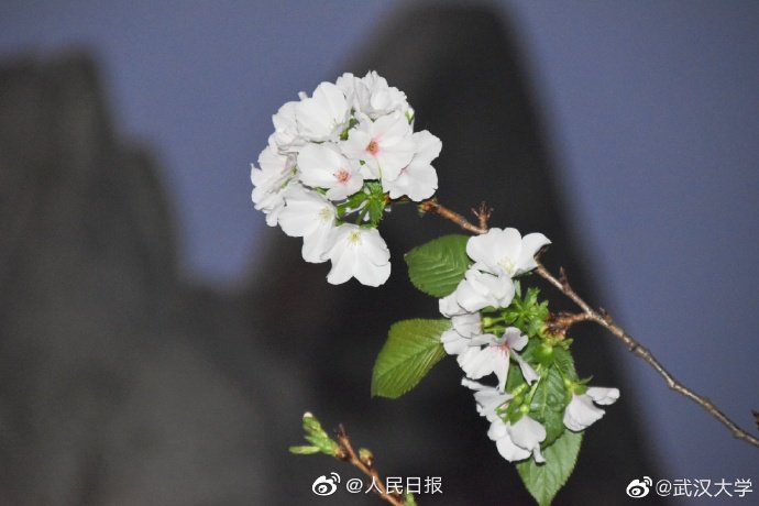 欧美秘 无码一区二区三区三浦