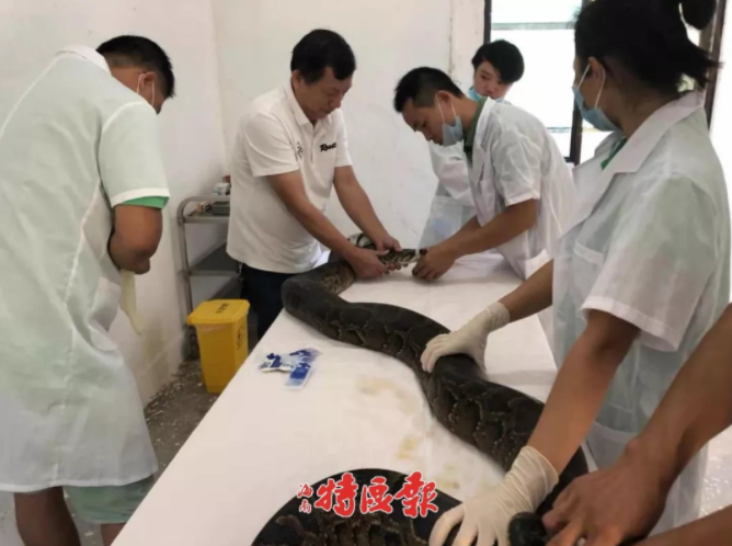 “东至人”，揭开你的盖头来
