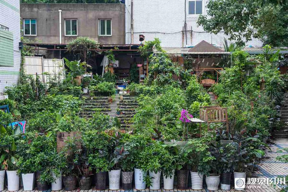 张筱雨大胆张开荫道口
