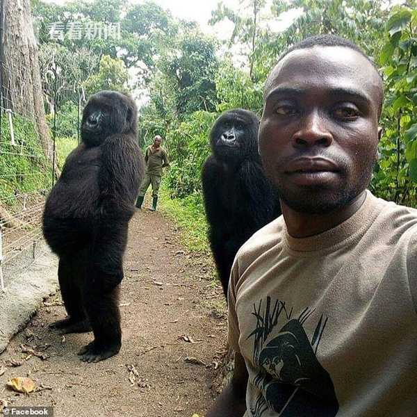 【巔峰娛樂新座標】亞博娛樂城：開啟你的奢華線上博弈傳奇 