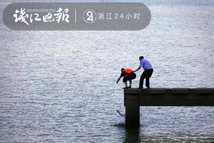 熟女 做爱 视频