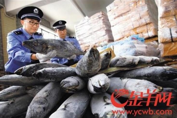  生态农业系统物质能量循环利用与案例分析（二）