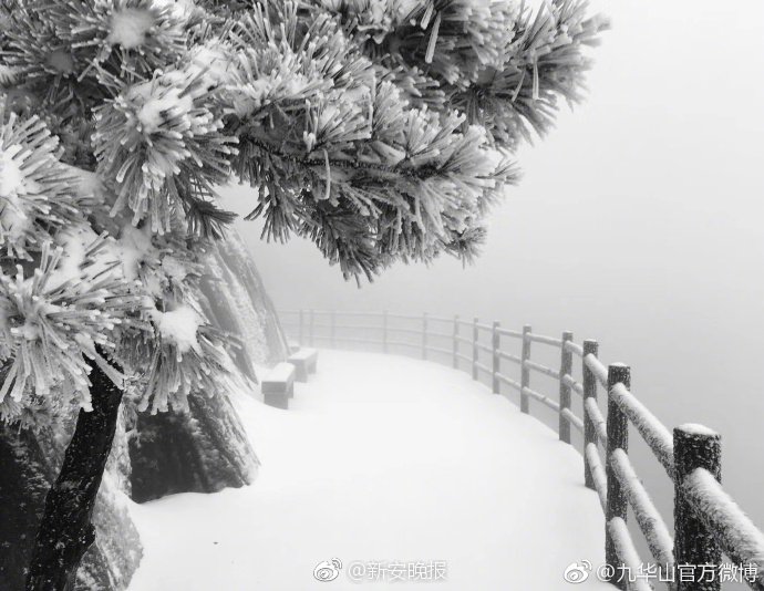 欧美性爽人与曽.