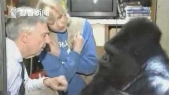 犬童美乃梨