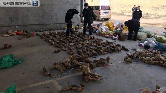 美女扒开尿口让男人捅