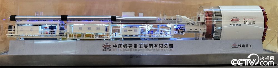 成人 高清 网站