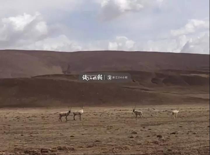 边吻奶边挵进去gif动态图免费