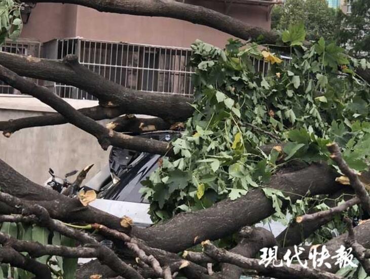 娇妻第一次3p