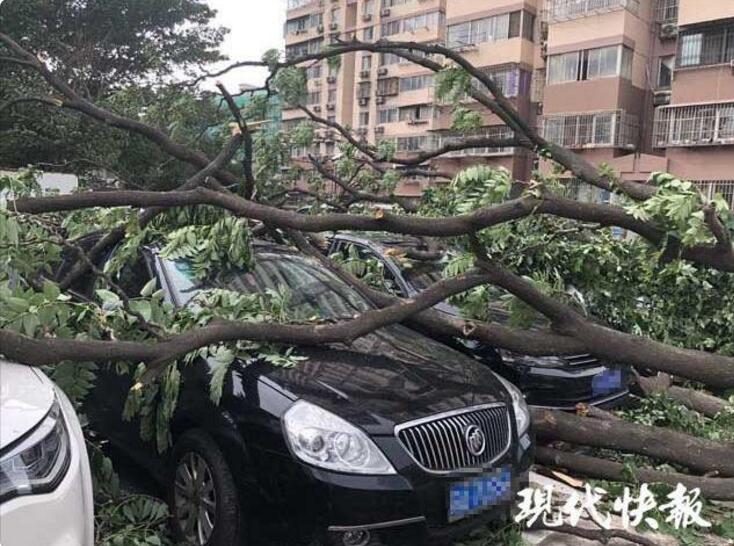 让潜山弹腔“活”在舞台上