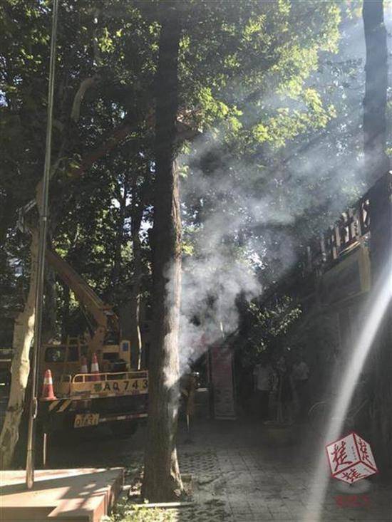 黄色 A 片 网站