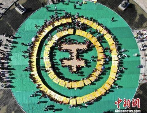 罗汉鱼怎么养!!!!