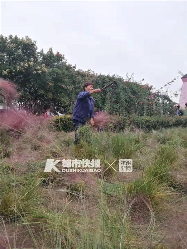 免费观看黄色网站。