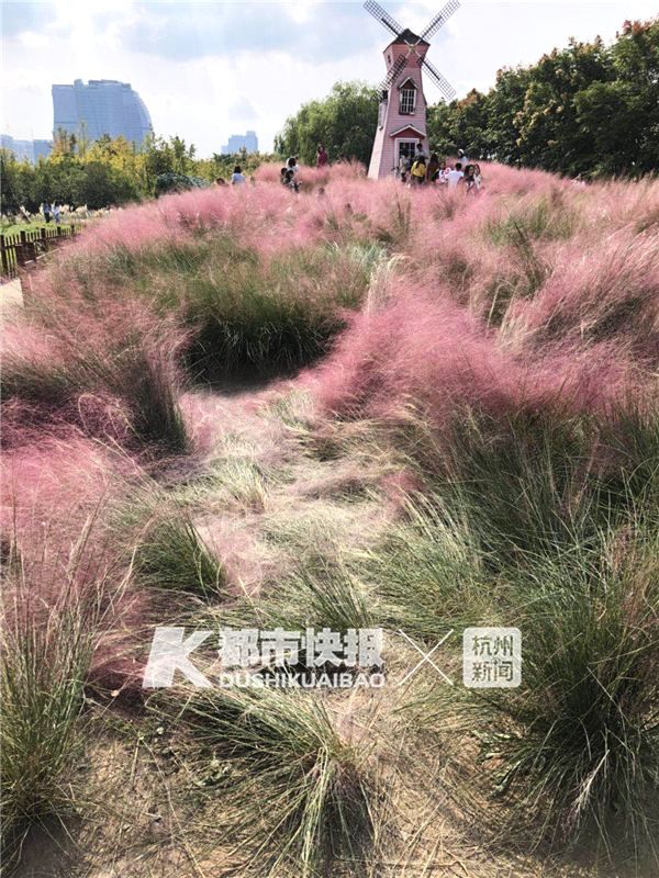 美女扒开秘 让男人桶爽