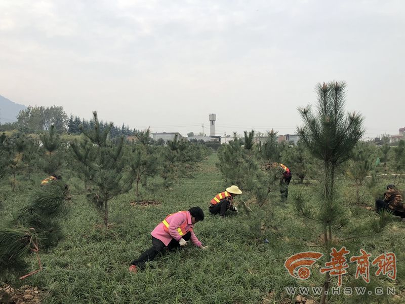 于小彤助阵《我家那闺女2》 承认恋情直言幸福