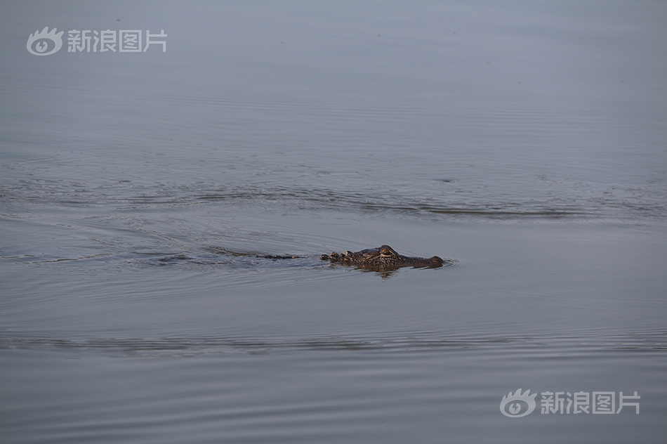 免费一级A片毛一女多男