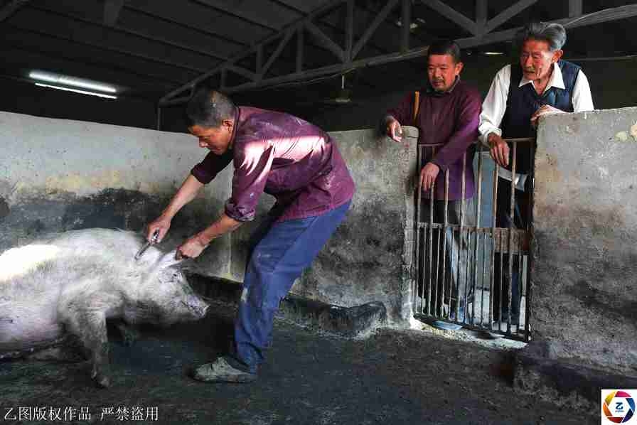 “乡村振兴大讲堂”讲出农民好生活