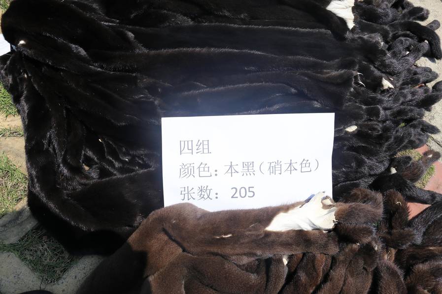 老太奶性BBAA片