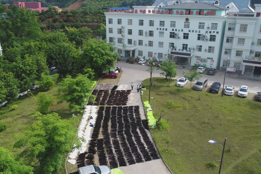 香港澳门台湾性爱片