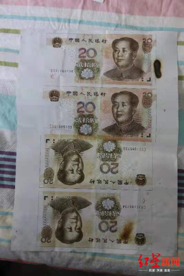 欧美人与拘杂交猛配