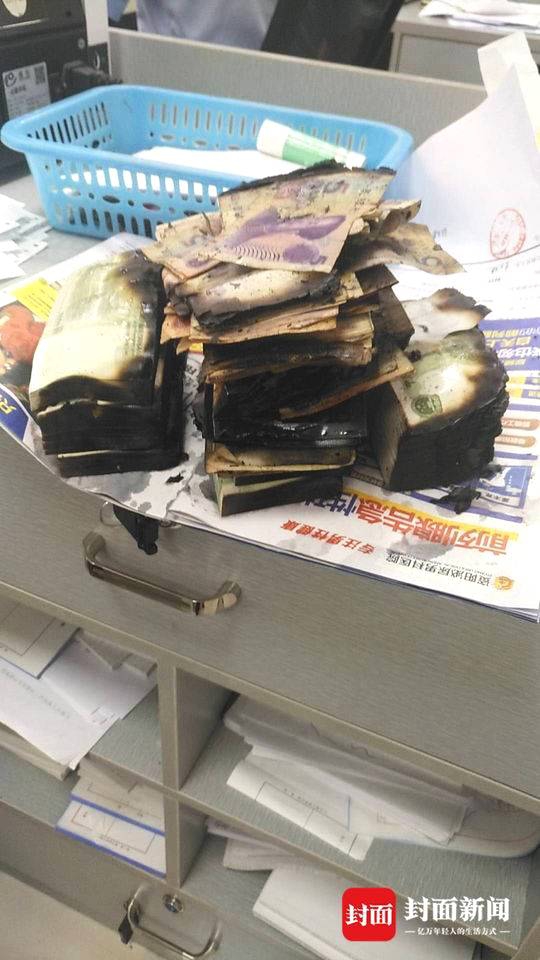 黄色网站不用下载直接进入链接看