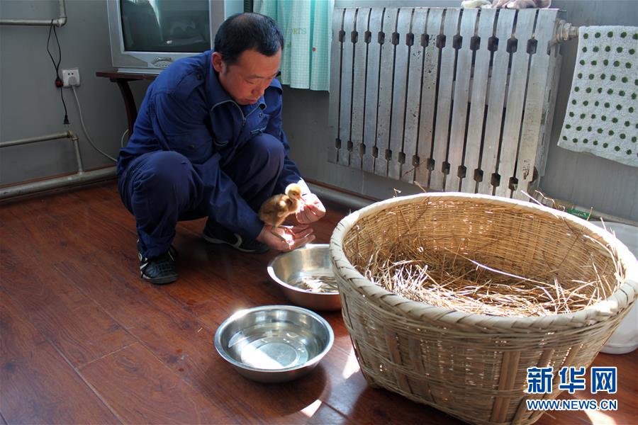 黄色黄片无码