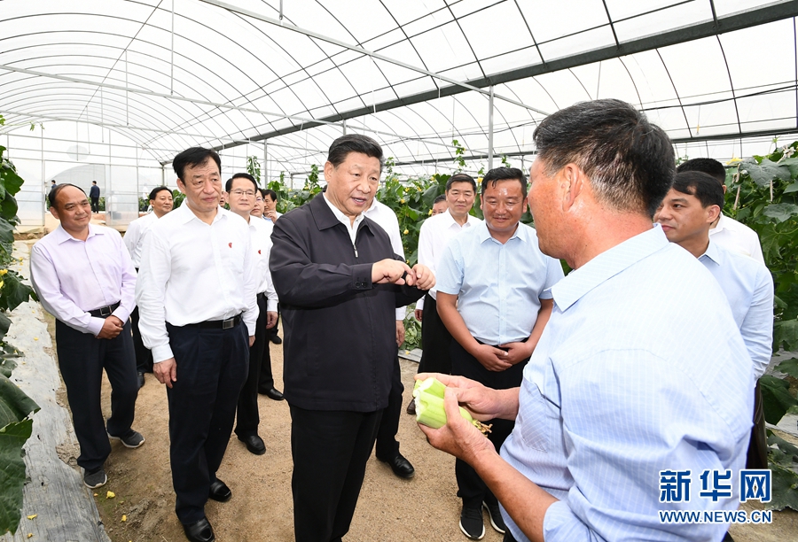 张柏芝跪下吃J8长什么样