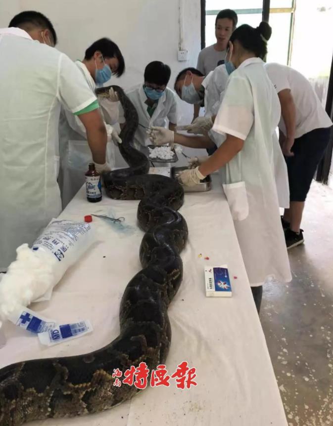 亚洲 色情 直播 网站