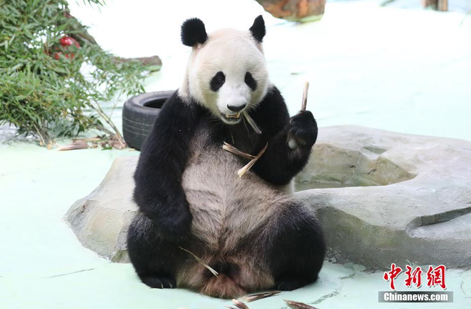 谢俞上课突然把跳d开到最大