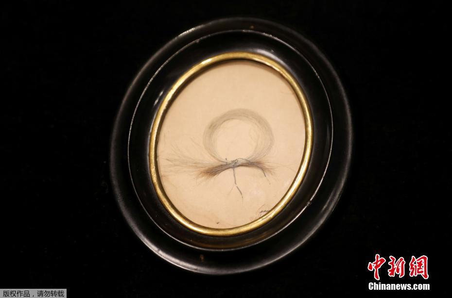 抖阴破解版下载