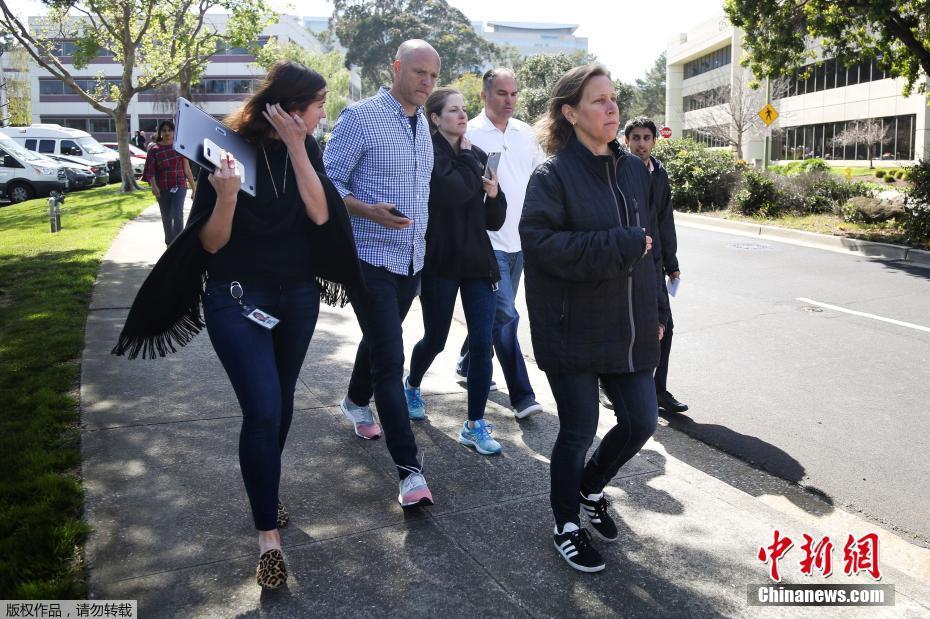 欧美女子黄色网络
