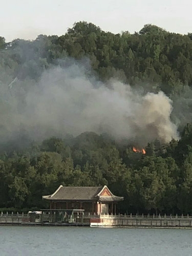 女仆 打屁股 和 鞭打