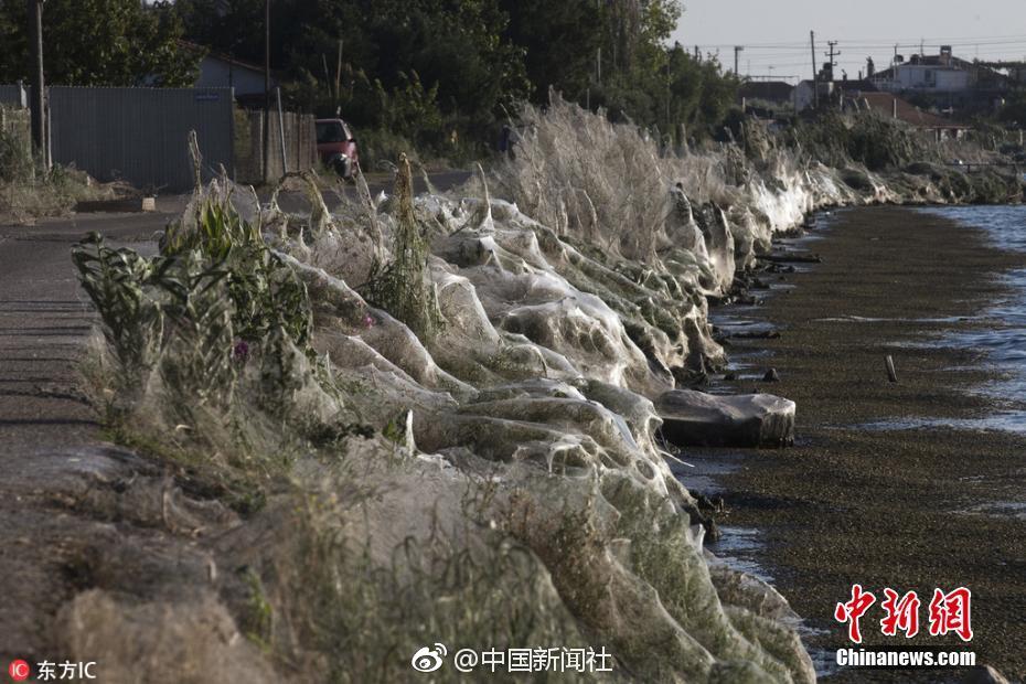 免费看的黄片视频播放