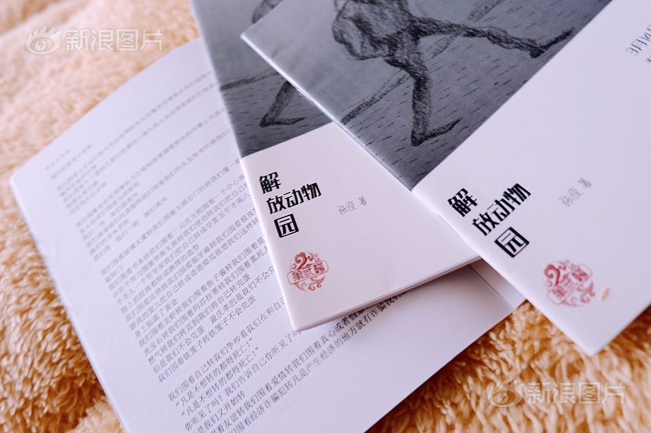 红桃视频隐人口的优点与不足