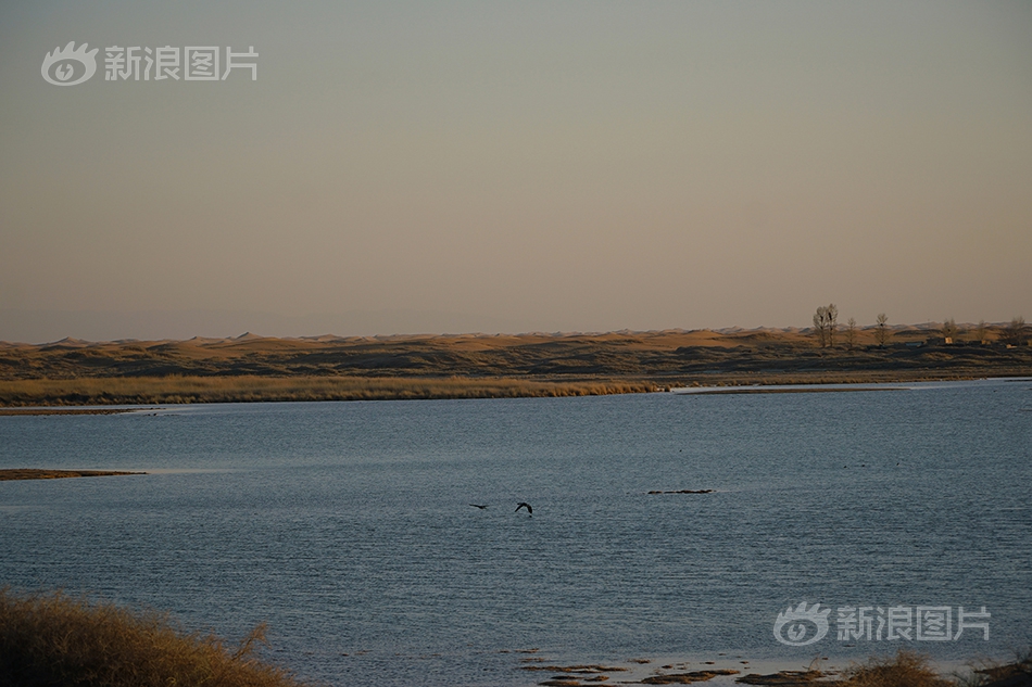 国内久久