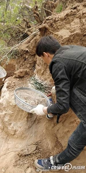 精品国产三级黄片