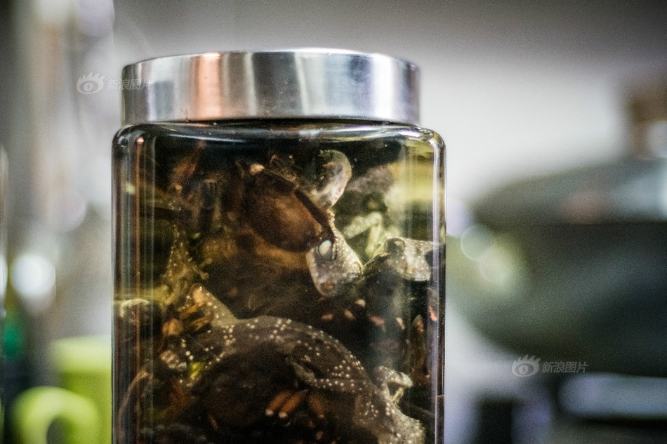 在线性生活黄片
