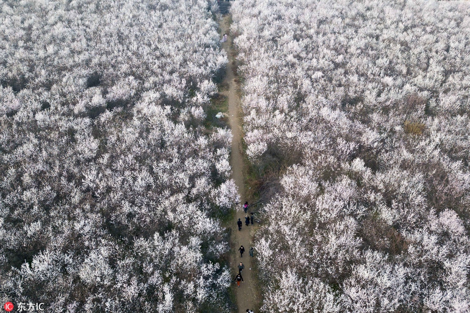 氧气罐能上飞机么