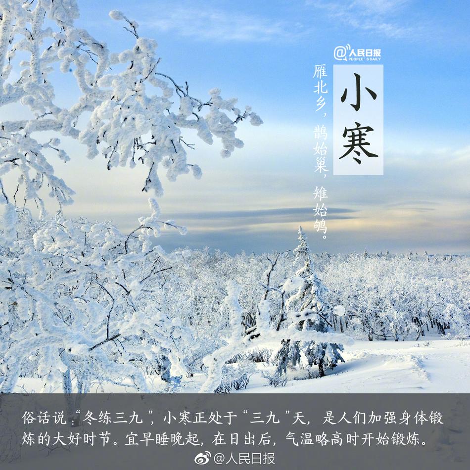 迅雷的黄色网站