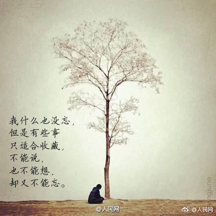 花蝴蝶直播