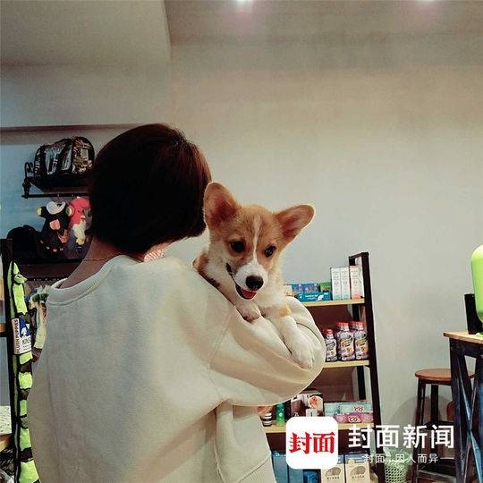 父子亂倫