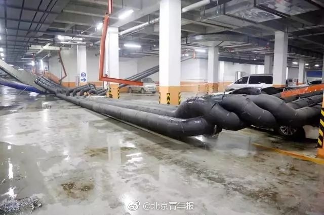 成人 免费 色情 网站