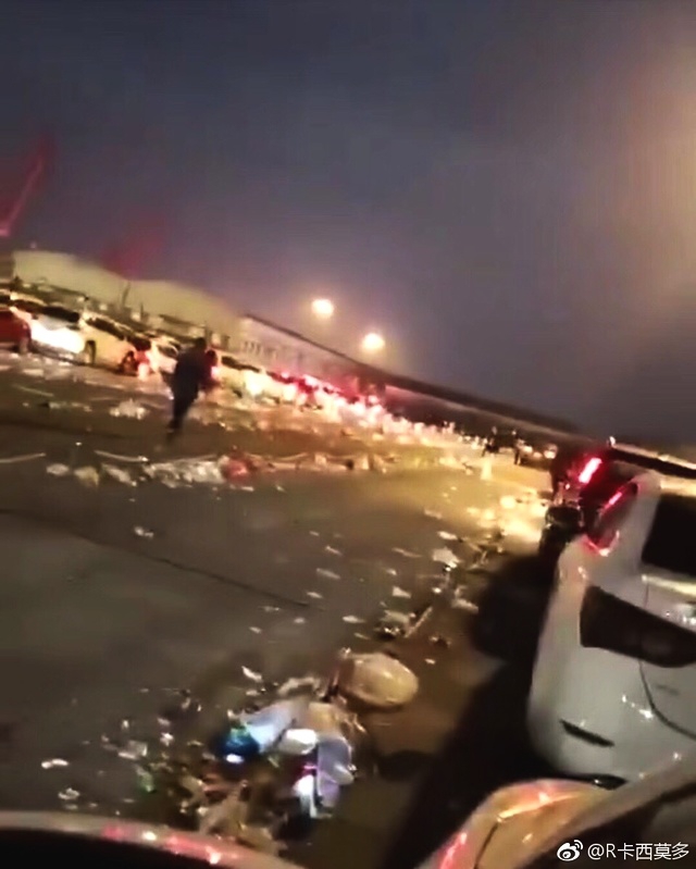免费 下载 色情 视频