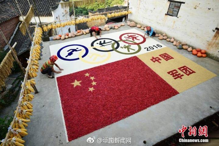 人一禽一交一视一频下一句是什么