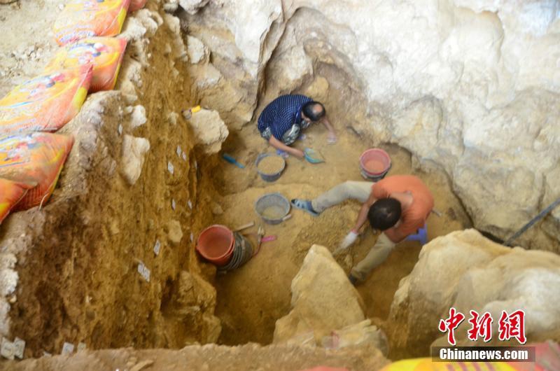 舒城县万佛湖镇：“绿书签”宣传活动进校园