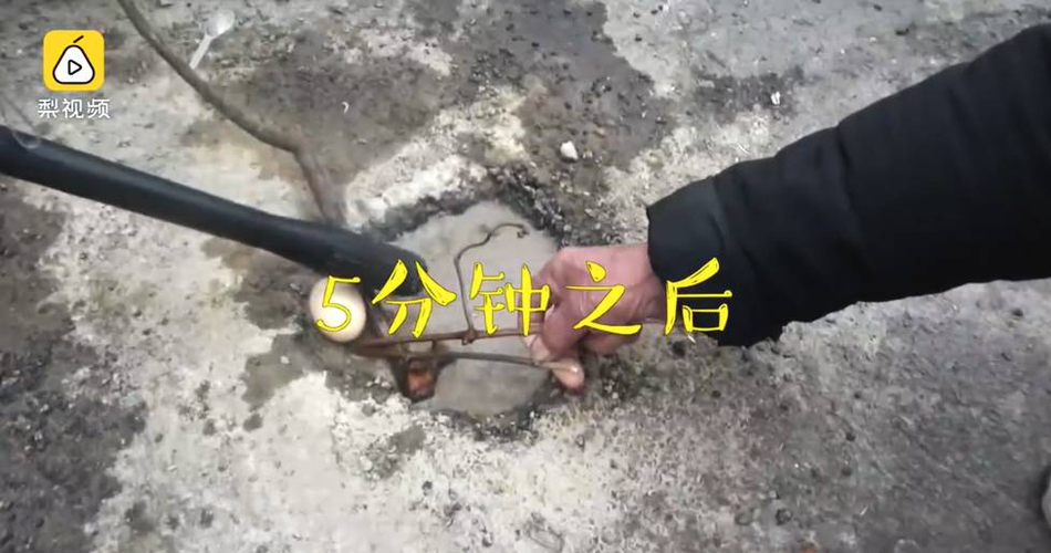 不戴套內射