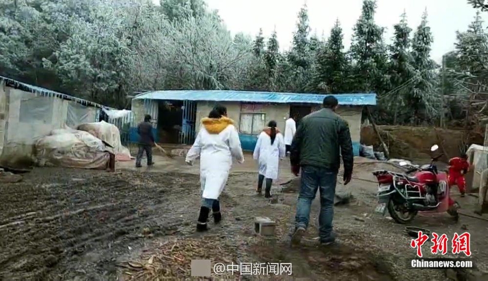 做爰直播APP